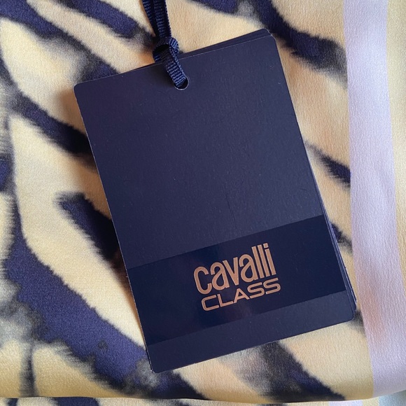 Roberta Cavalli - Cavalli Class Silk Scarf ZEBRA - Picture 4 of 8